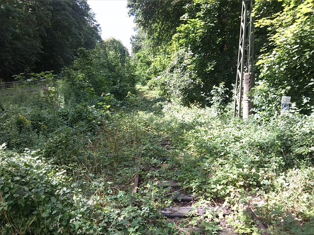 4a-Halle-Dölauer Heide Frühere S-Bahntrasse Nietleben-Dölau Salzmünder Straße & Heidestraße Blick Nach Nordwesten (1)
