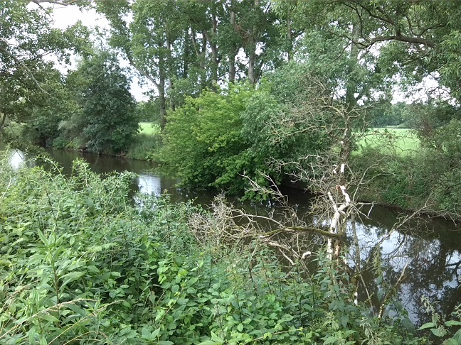 4a-Zeitz-Weiße Elster Zwischen Zangenberg & Bornitz Blick Nach Nordosten (1)