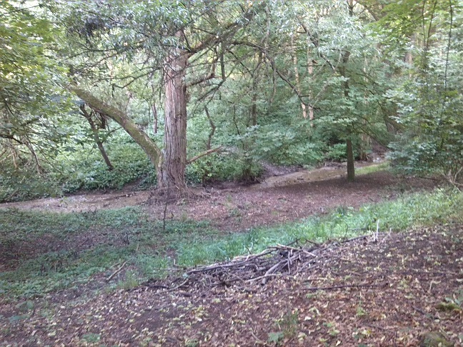 50a-Salzatal Beesenstedt Nordteil Kloschwitzer Blick Zum Bach Nach Nordosten (1)