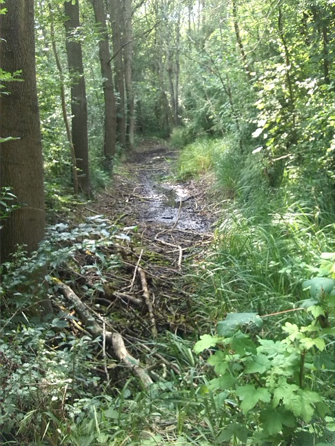 52a-Gemeinde Petersberg Mösthinsdorf Südteil Blick Auf Graben Nach Westen (2)
