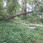 54a-Gemeinde Petersberg Mösthinsdorf Südosttteil Blick Auf Weg Am Ostrand Nach Norden (1)