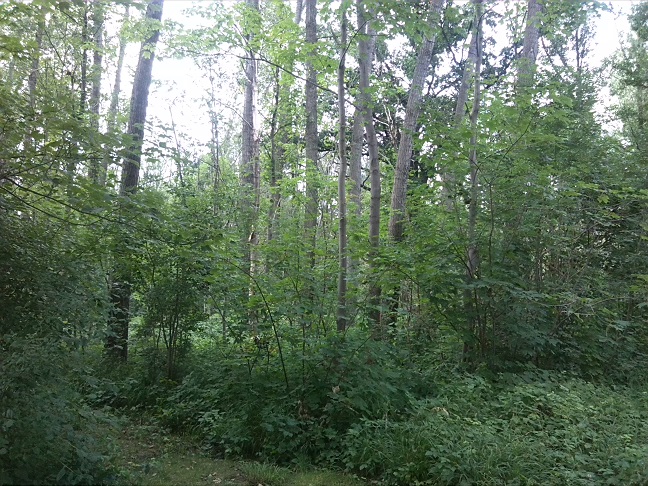 55a-Gemeinde Petersberg Mösthinsdorf Südosttteil Blick Nach Nordwesten (1)