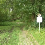 58a-Gemeinde Petersberg Mösthinsdorf Südosttteil Blick Auf Weg Am Ostrand Nach Norden (1)