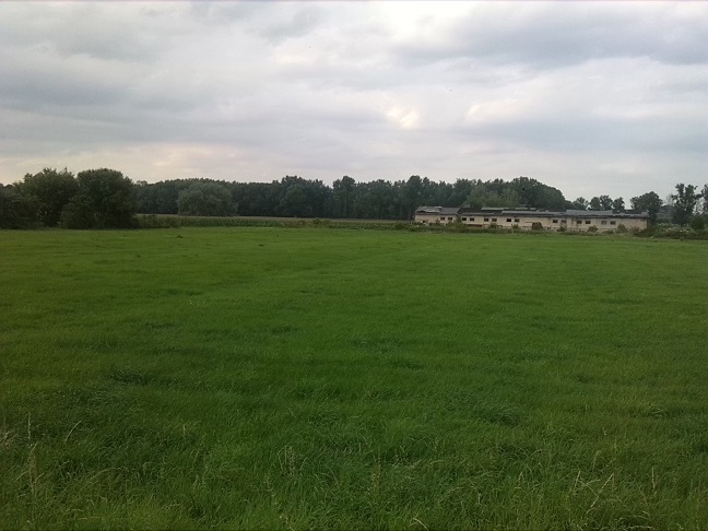 59a-Gemeinde Petersberg Mösthinsdorf Blick Auf Schlossfuhne Nach Norden Vom Westortseingang Mösthinsdorf Aus Richtung Kösseln (1)