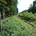 5a-Halle-Dölauer Heide Frühere S-Bahntrasse Nietleben-Dölau Salzmünder Straße & Heidestraße Blick Nach Südosten (1)