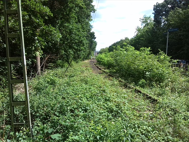 5a-Halle-Dölauer Heide Frühere S-Bahntrasse Nietleben-Dölau Salzmünder Straße & Heidestraße Blick Nach Südosten (1)