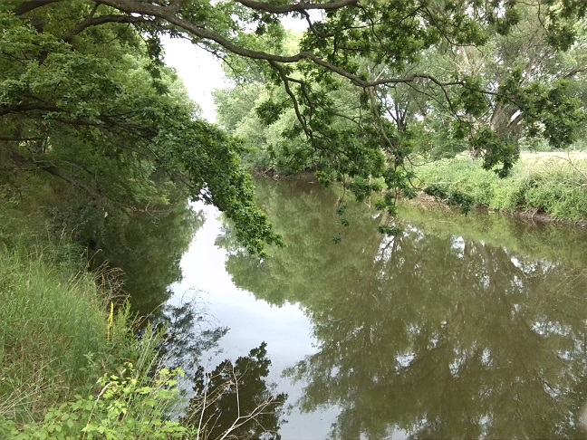 5a-Zeitz-Weiße Elster Zwischen Zangenberg & Bornitz Blick Nach Nordosten An Eisenbahnbrücke (1)