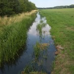 65a-Grenze Landkreise Saalekreis & Anhalt Bitterfeld An Fuhnebrücke K2065 Verbindung Mösthinsdorf & Schortewitz Blick Fuhne Flussaufwärts Nach Osten (2)