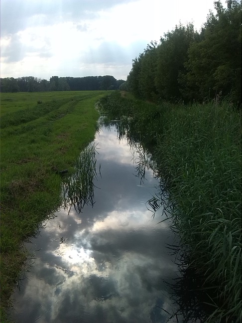 68a-Grenze Landkreise Saalekreis & Anhalt Bitterfeld An Fuhnebrücke K2065 Verbindung Mösthinsdorf & Schortewitz Blick Fuhne Flussabwärts Nach Westen (2)