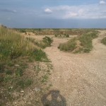 69a-Gemeinde Petersberg Mösthinsdorf Kiesgrube Blick Nach Nordosten (1)