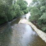 6a-Gemeinde Elsteraue Blick Von Brücke Zwischen Bornitz & Göbitz Bornitzer Weg Blick Weiße Elster Flussabwärts Nach Nordosten (1)