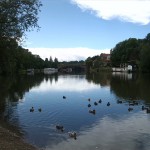 6a-Saalepromenade Am Ende Emil-Eichhornstraße Blick Nach Südwesten Saale & Peißnitznordspitze & Kröllwitz Krug Zum Grünen Kranze (1)