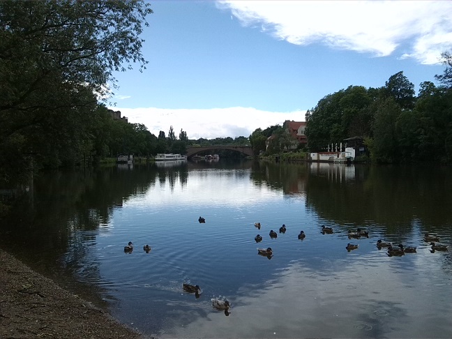 6a-Saalepromenade Am Ende Emil-Eichhornstraße Blick Nach Südwesten Saale & Peißnitznordspitze & Kröllwitz Krug Zum Grünen Kranze (1)