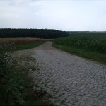 6a-Weg Aus Richtung Gatersleben Blick Zum Hakel Von Süden (2)