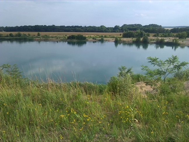 72a-Gemeinde Petersberg Mösthinsdorf Kiesgrube Blick Nach Süden In Richtung Park Ostrau (2)