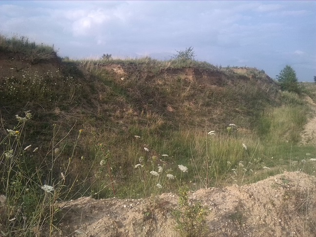 74a-Gemeinde Petersberg Mösthinsdorf Kiesgrube Blick Nach Norden (2)