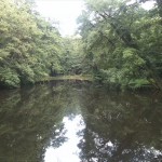 75a-Gemeinde Petersberg Ostrau Schlosspark Ostrau Zentralteil Blick Auf Teich Nach Osten (1)