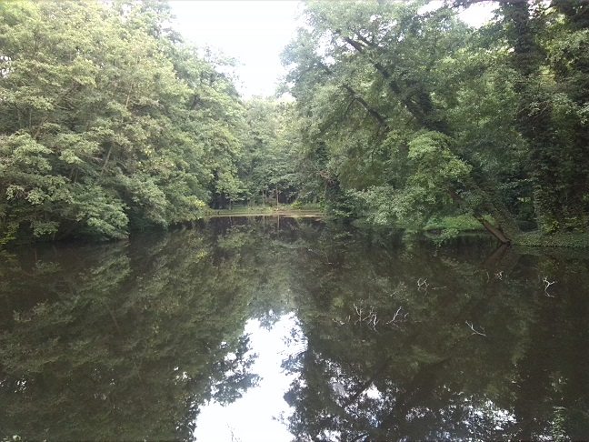 75a-Gemeinde Petersberg Ostrau Schlosspark Ostrau Zentralteil Blick Auf Teich Nach Osten (1)