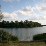 8-Hufeisensee-Blick Von Norden Nach Süden Zur Innenkippe