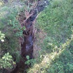 80a-Gemeinde Petersberg Kütten Küttener Bach Blick Aufwärts Nach Südwesten (2)