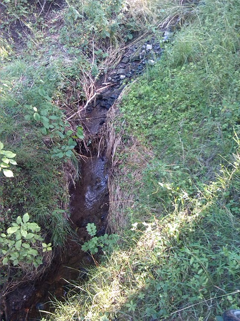 80a-Gemeinde Petersberg Kütten Küttener Bach Blick Aufwärts Nach Südwesten (2)