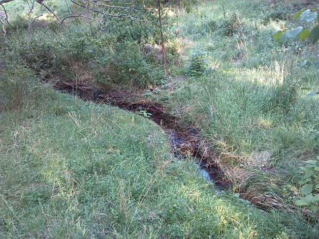 81a-Gemeinde Petersberg Kütten Küttener Bach Blick Abwärts Nach Nordosten (2)