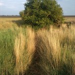 85a-Gemeinde Petersberg Kütten Ein Ursprung Rieda Blick Nach Südosten (1)