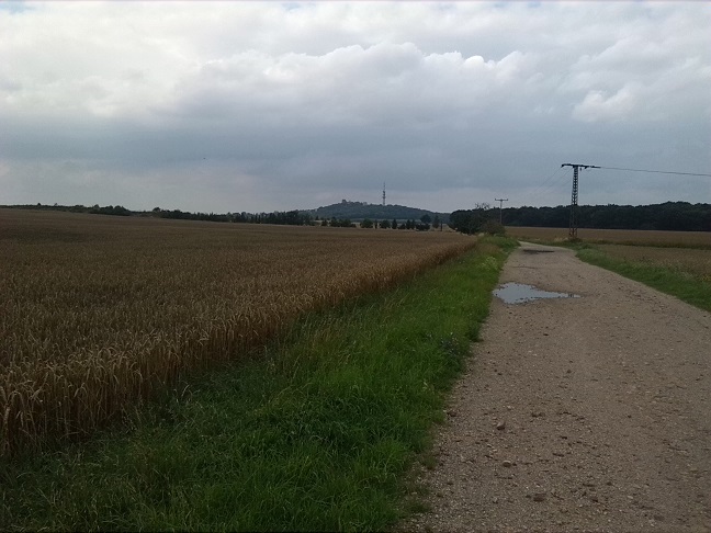 8a-Gemeinde Petersberg Blick Auf Petersberg Von Südosten Südlich Heideberg & Gemarkung Teicha(1)