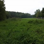 10a-Halle Amselgrund Von Verbindungsweg Talstraße & Kreuzer Teiche Blick Nach Nordosten (1)