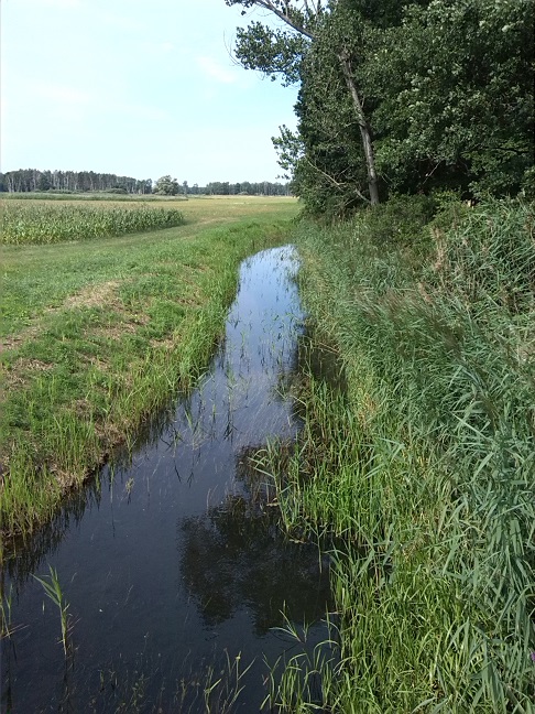 10a-Neugraben Abwärts Nach Nordwesten Zwischen Uebigau & Bomsdorf (1)