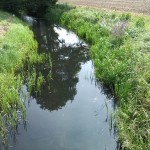 11a-Neugraben Aufwärts Nach Osten Zwischen Uebigau & Bomsdorf (1)