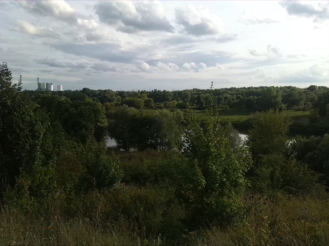 13a-Blick Von Aussichtsunterstand Halle Silberhöhe Über Mündung Weiße Elster In Saale Nach Korbetha & zur Abtei (1)