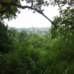 13a-Halle Felsen Zwischen Amselgrund & Fiebiger Grund Blick Nach Nordosten Zu Burg Giebichenstein (1)