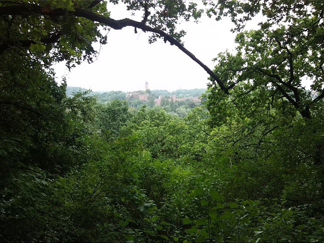 13a-Halle Felsen Zwischen Amselgrund & Fiebiger Grund Blick Nach Nordosten Zu Burg Giebichenstein (1)