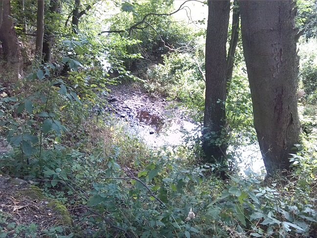 13a-Selke Zwischen Güntersdorf & Elbingstalteich (1)