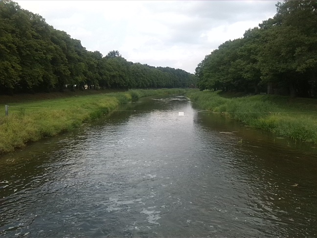 14a-Blick Vom Wehr Herzberg Schwarze Elster Abwärts (1)