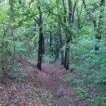 14a-Halle Hoher Weg Weg Von Felsen Zu Nebental Fiebiger Grund & Wiese Amselgrund Blick Nach Süden (3)