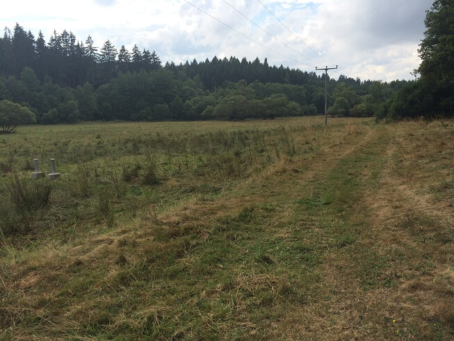 14a-Selketal Vor Strassberg (1)
