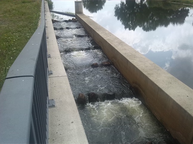 15a-Blick Vom Wehr Herzberg Schwarze Elster Aufwärts & Zur Fischtreppe (1)