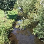 15a-Blick Von Brücke Südlich Windehausen Auf Zorge Aufwärts Nach Nordwesten (1)