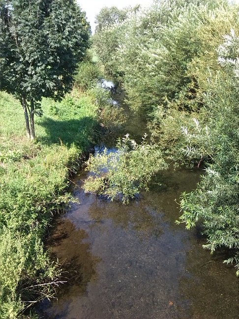 15a-Blick Von Brücke Südlich Windehausen Auf Zorge Aufwärts Nach Nordwesten (1)