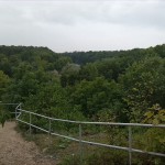 15a-Halle Felsen An Hoher Weg Blick Nach Südosten Zu Saale & NSG Peißnitznordspitze (1)