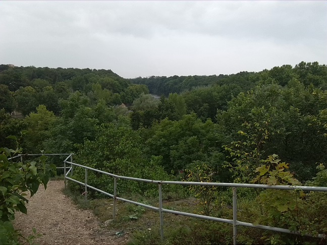 15a-Halle Felsen An Hoher Weg Blick Nach Südosten Zu Saale & NSG Peißnitznordspitze (1)