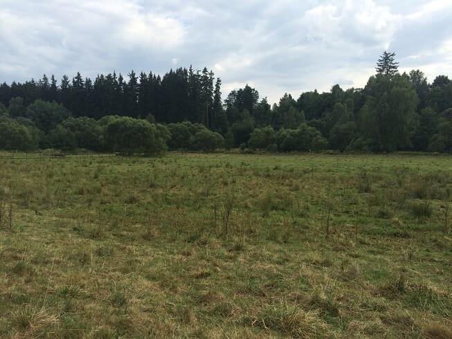 15a-Selketal Vor Strassberg