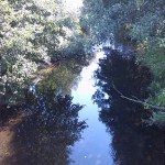 16a-Blick Von Brücke Südlich Windehausen Auf Zorge Abwärts Nach Südosten (1)