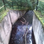 16a-Elbingstalsteich Südwestecke Blick Nach Süden In Richtung Selke (1)