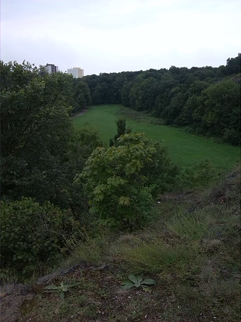 16a-Halle Felsen An Hoher Weg Blick Nach Süden Zu Amselgrund (1)