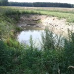 1a-Feuchtgebiet Zwischen Uebigau & Bomsdorf Blick Nach Südosten (1)