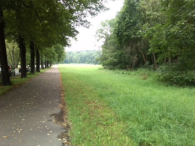21a-Halle Talstraße Blick Aus Richtung Nordosten Nach Südwesten Zu Amselgrund (1)