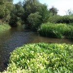 22a-Heringen Blick Zur Einmündung Zorge In Helme Nach Nordosten (2)